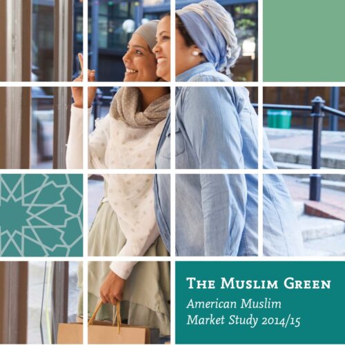 AMCC Report Cover - 2016 (1)